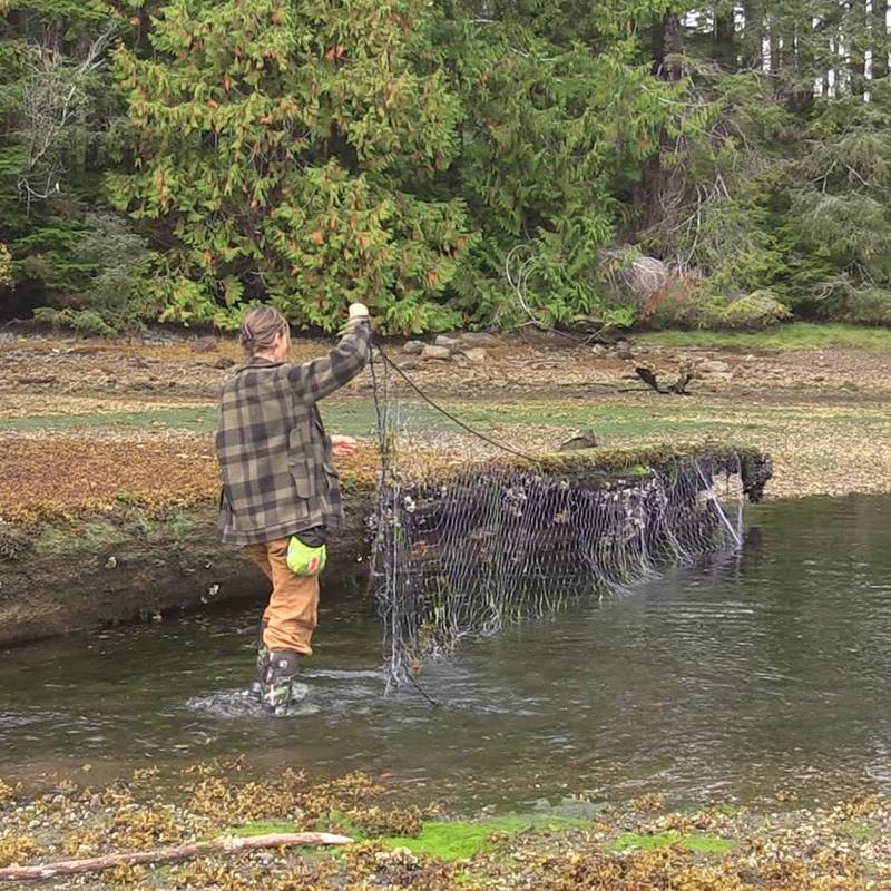 What I ate for 57 days on Vancouver Island on the TV show Alone