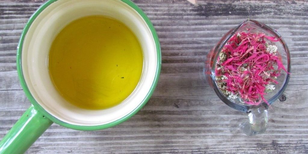Herbal Medicine and Salve-Making Class – 12/10