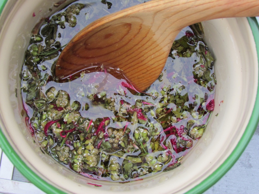Take an Herbal Medicine & Salve-Making Class this spring!