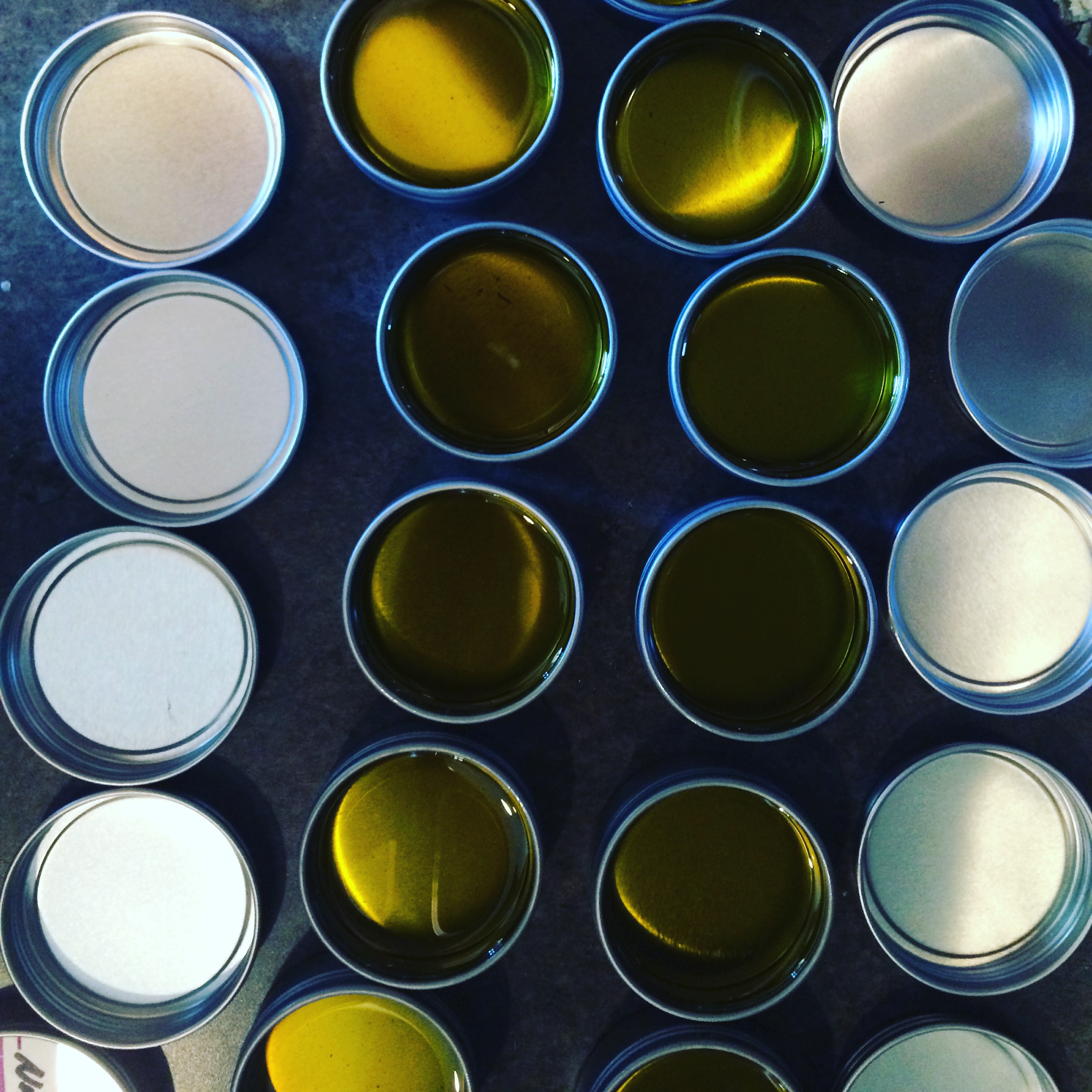 Discover Doctor Nicole’s Healing Salves