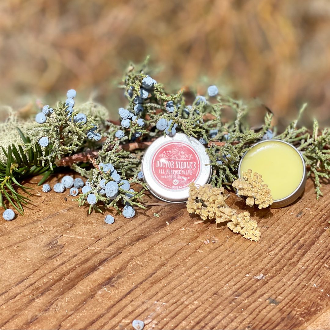 Nicole's Apothecary All Purpose Salve with herbs
