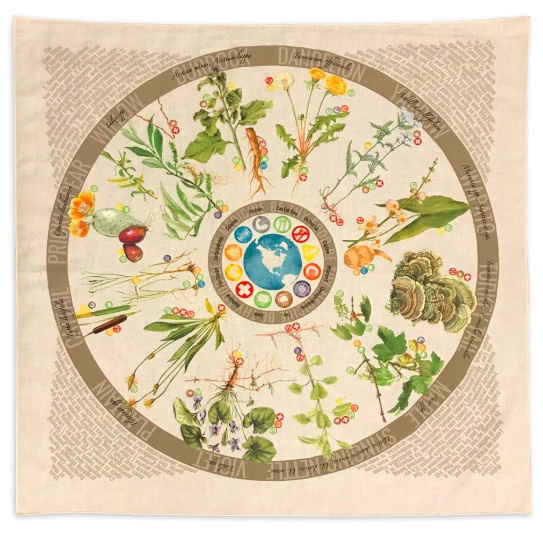 Favorite Things: Foraging Field Reference Bandana
