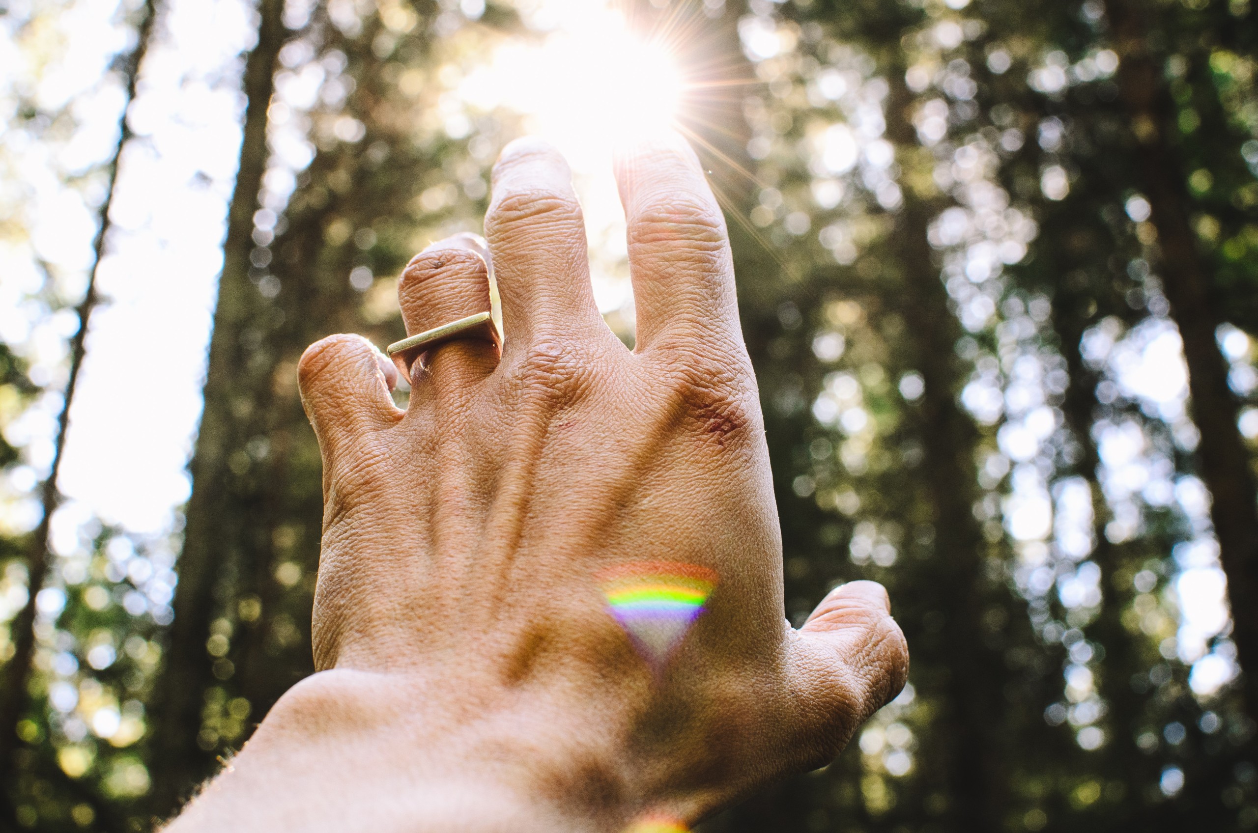 My Multiple Sclerosis Diagnosis and Healing