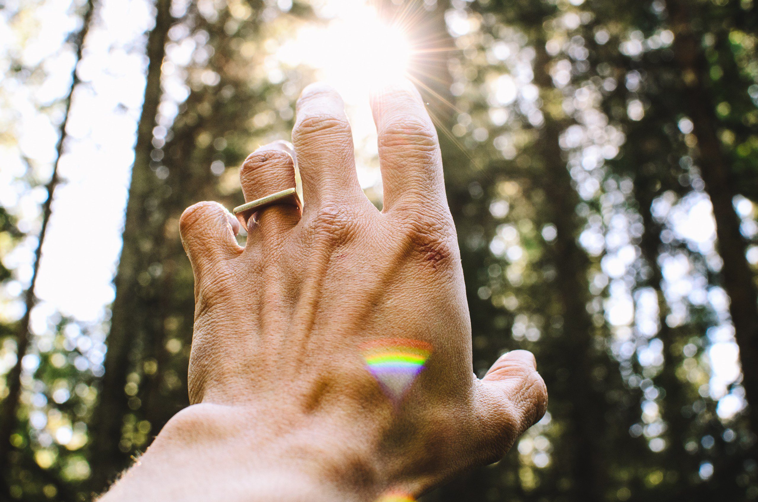 My Multiple Sclerosis Diagnosis and Healing