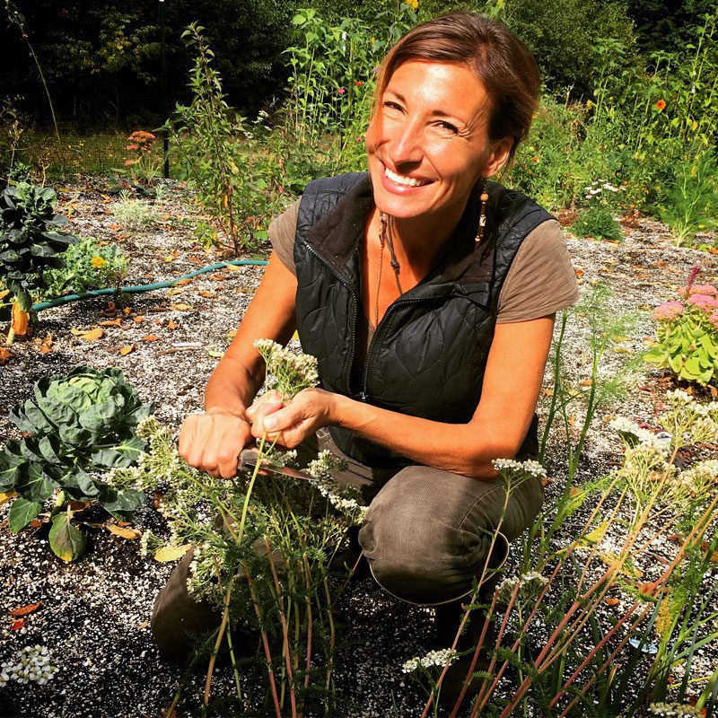 medicinal-garden-kit-3 nicole apelian collecting yarrow