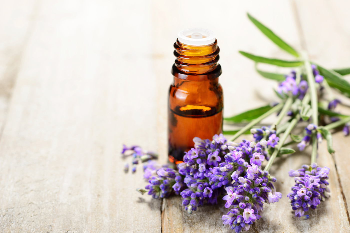 Lavender essential oil in the amber bottle, with fresh lavender Common mullein or Verbascum thapsus flower