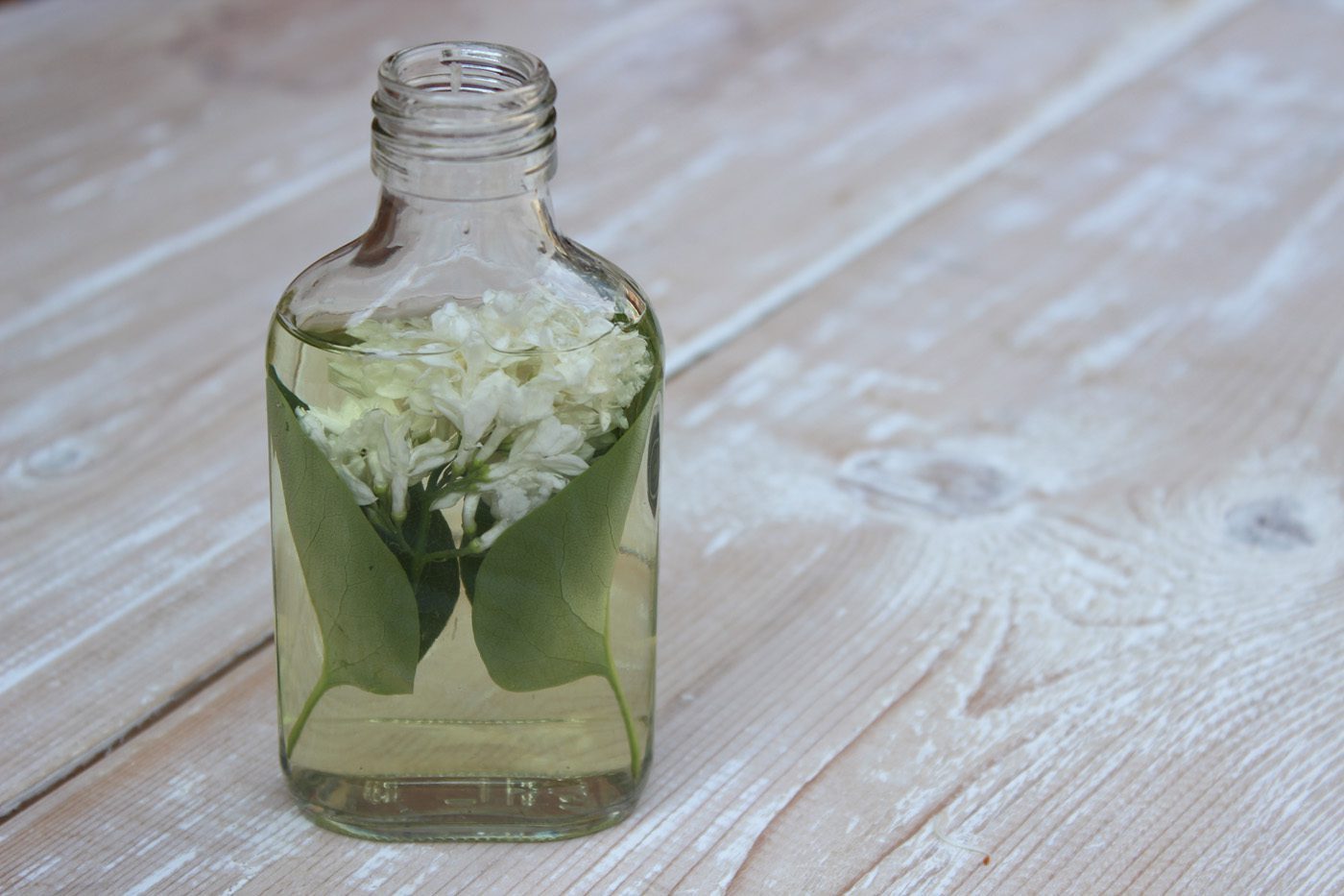 medicinal-garden-kit-3 Tincture of lilac flowers