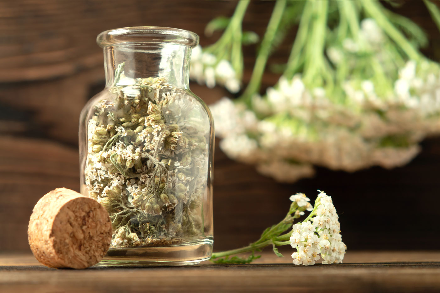 My Favorite Herbal Remedies for the Cold and Flu Season