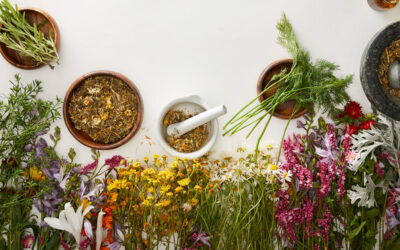 Experience a New Level of Potency with Spagyric Tinctures