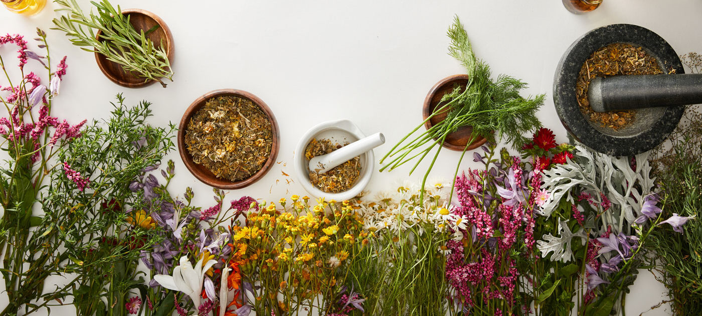 herbs botanicals for extracts spagyrictinctures