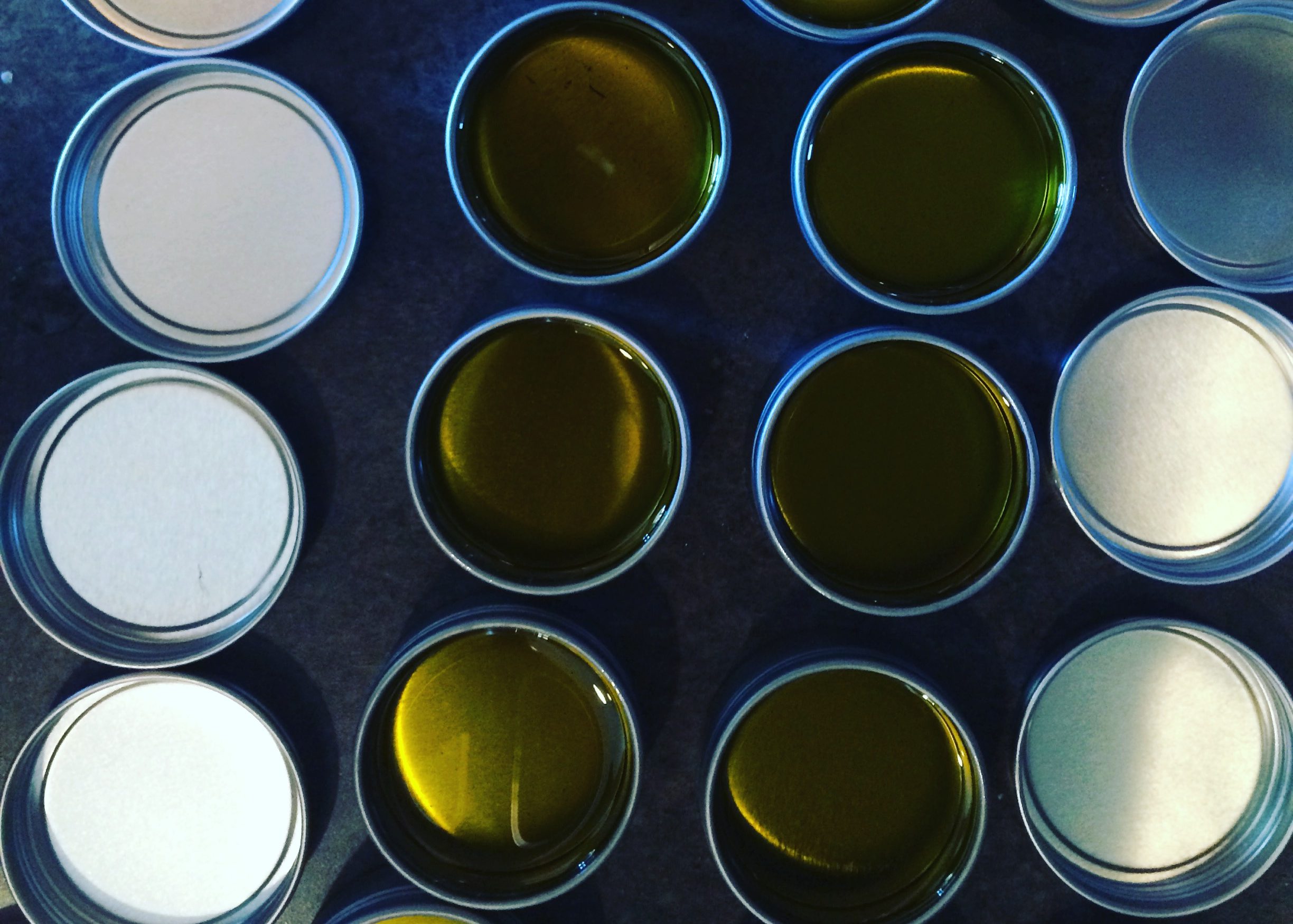 My Best-Loved Herbal Remedies for Topical Use