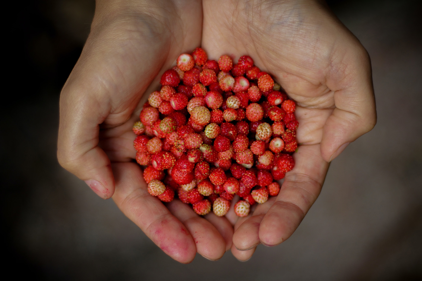 emergency preparedness berries
