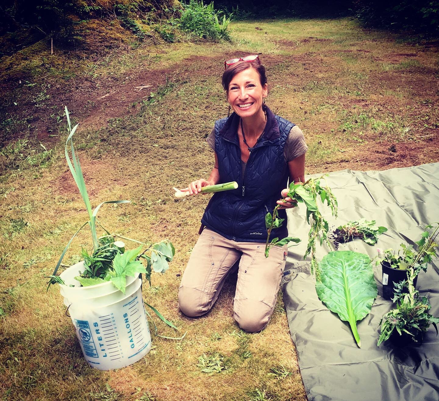 Feasting on Foraged Fare: Lamb’s Quarter!