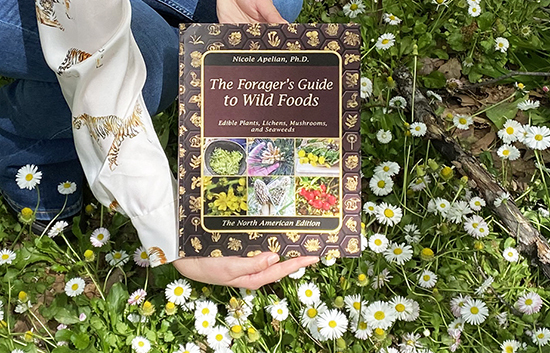 The Foragers Guide to Wild Foods book The Foragers Guide to Wild Foods book