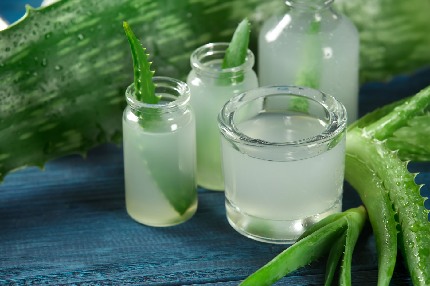 Ancient Herbal Remedies for Modern Times