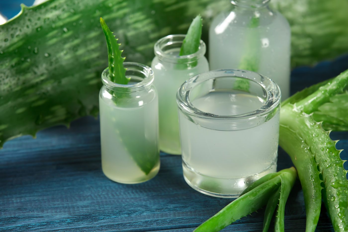 Ancient Herbal Remedies for Modern Times