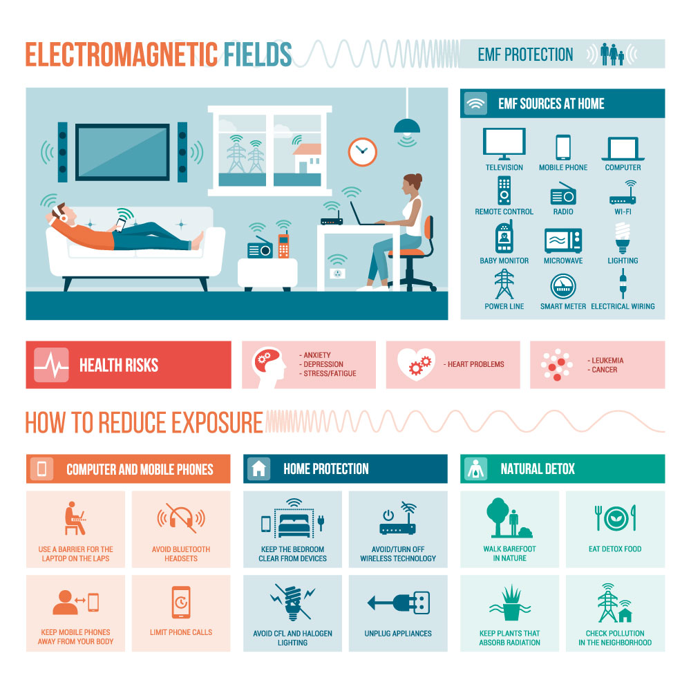 garlic bulbs Electromagnetic fields in the home infograph EMFs
