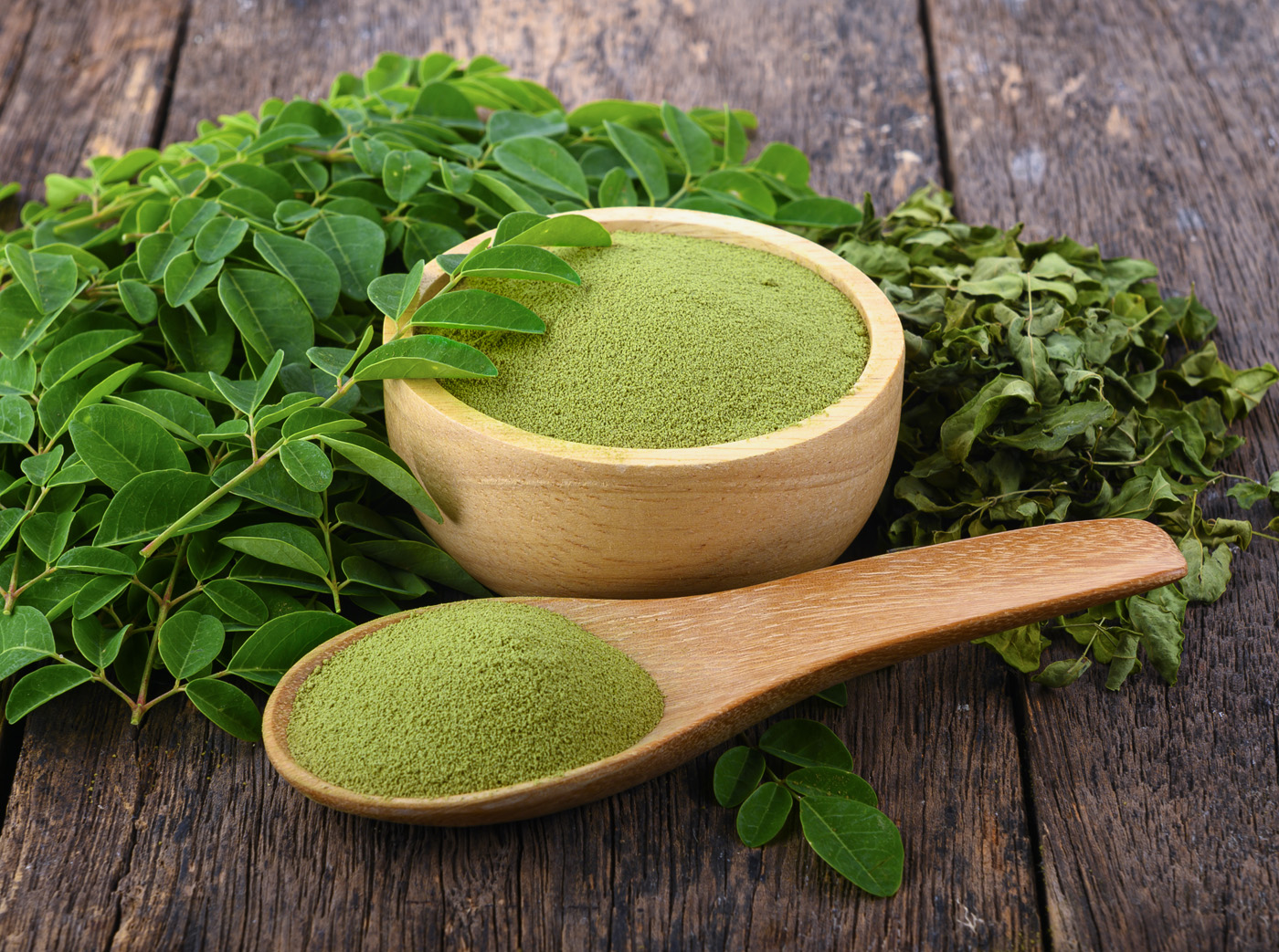 Flowered Citronella Plant in Garden Moringa powder in wooden bowl with fresh Moringa and dried leav