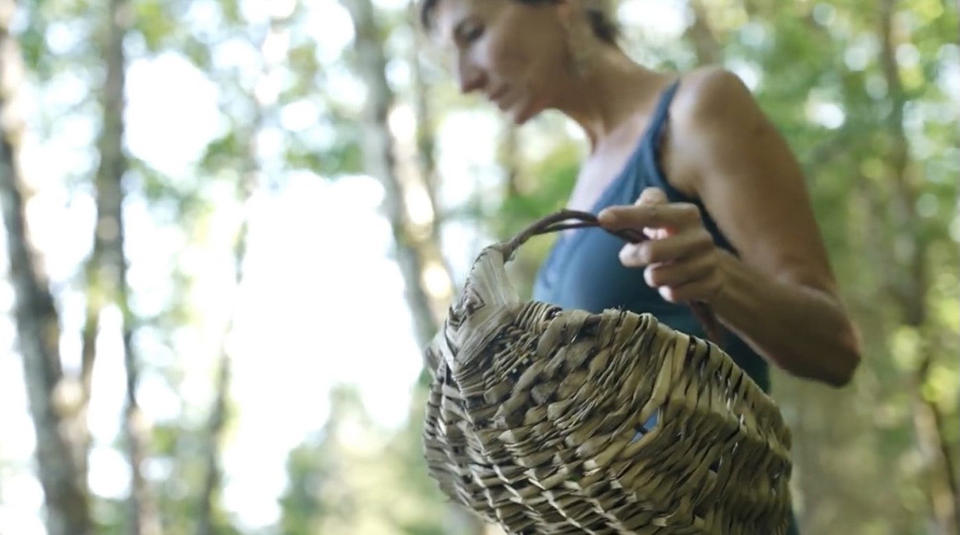 Nicoles Apothecary Bronchial Blend tincture Nicole Apelian foraging with basket