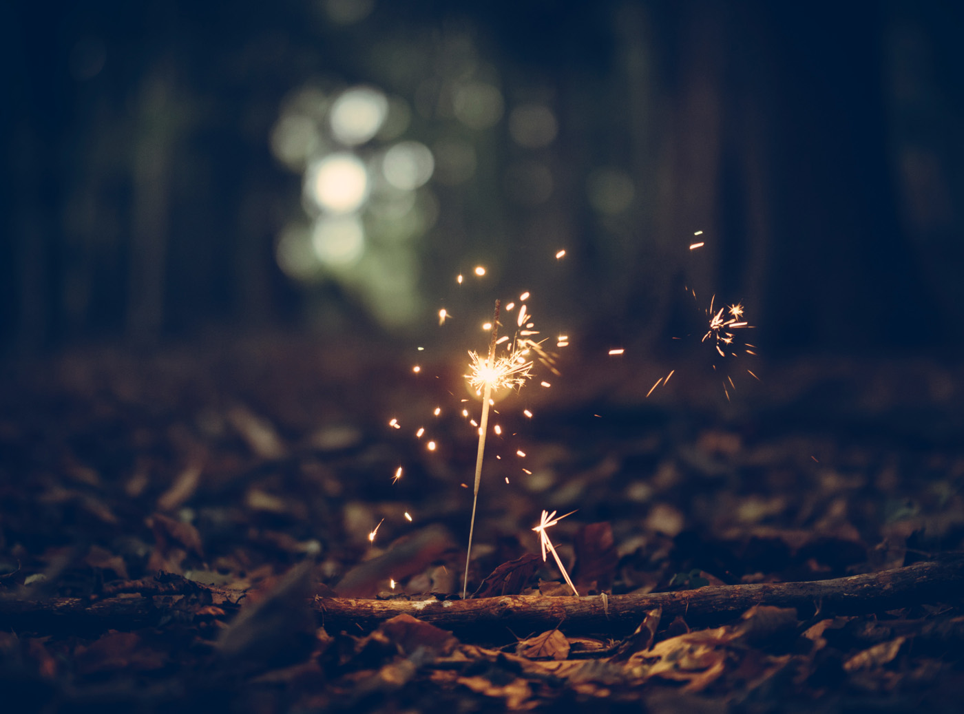 Rediscovering Joy After Adversity