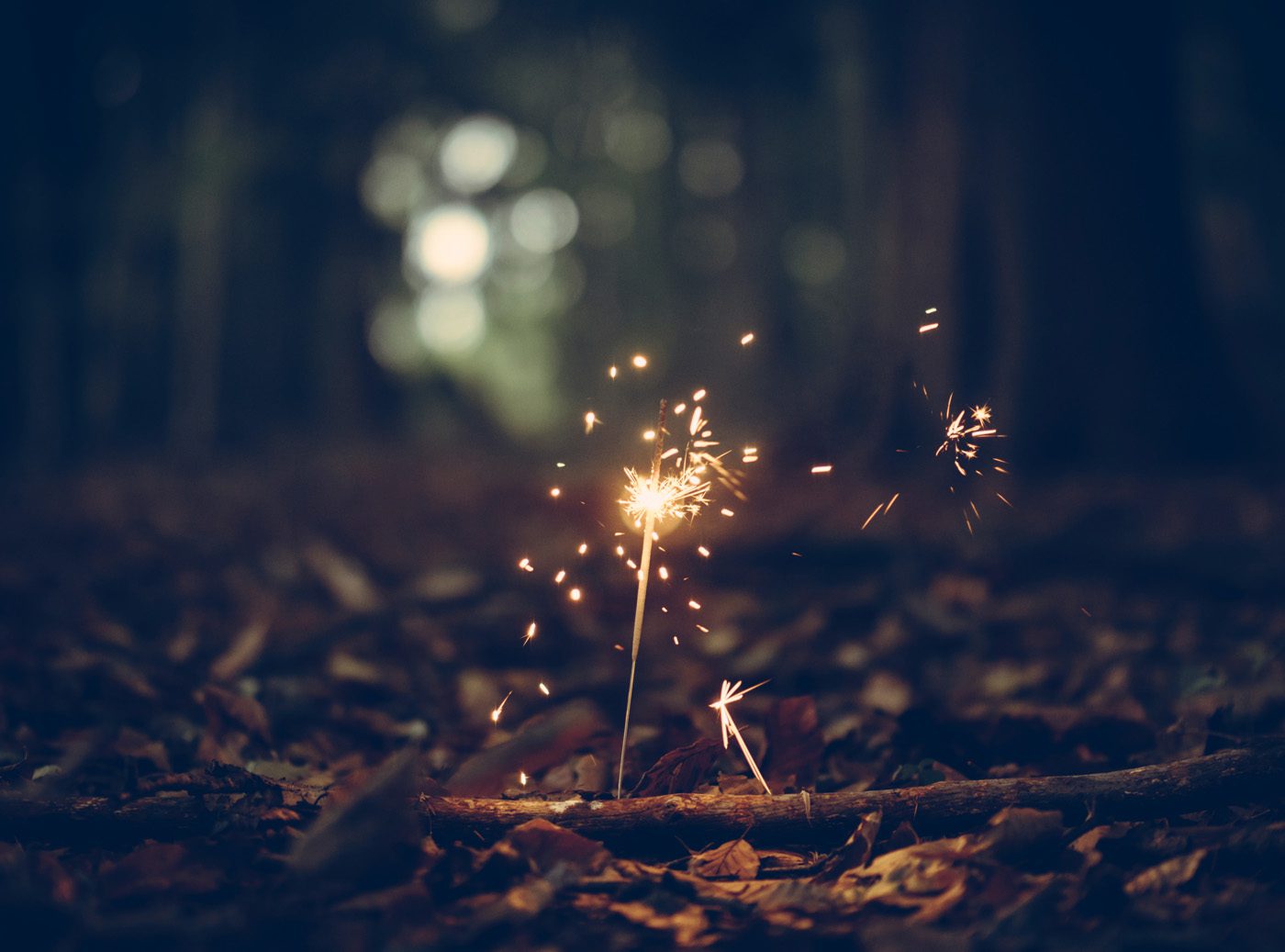 Rediscovering Joy After Adversity