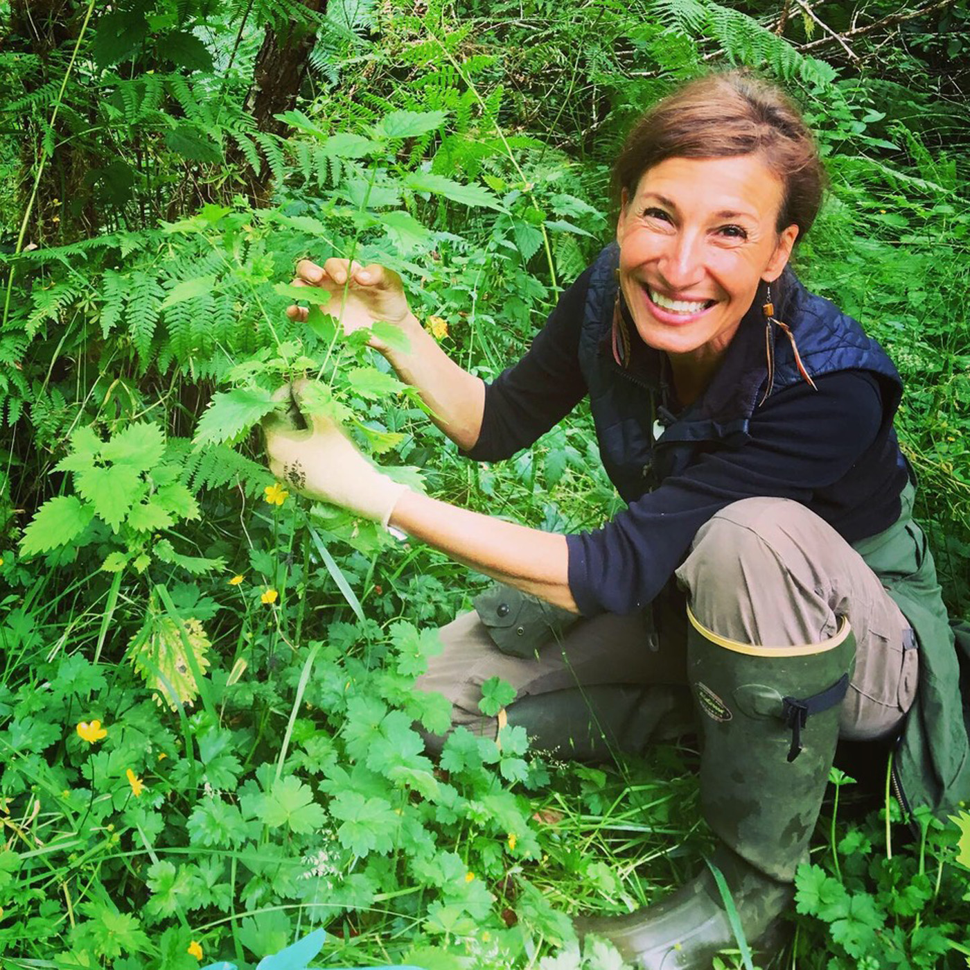 Nicole Apelian harvesting Stinging Nettle Nicole Apelian harvesting Stinging Nettle