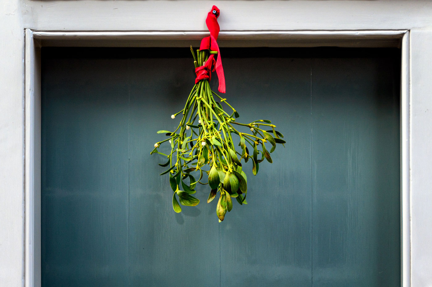 The Surprising Health Benefits of Mistletoe