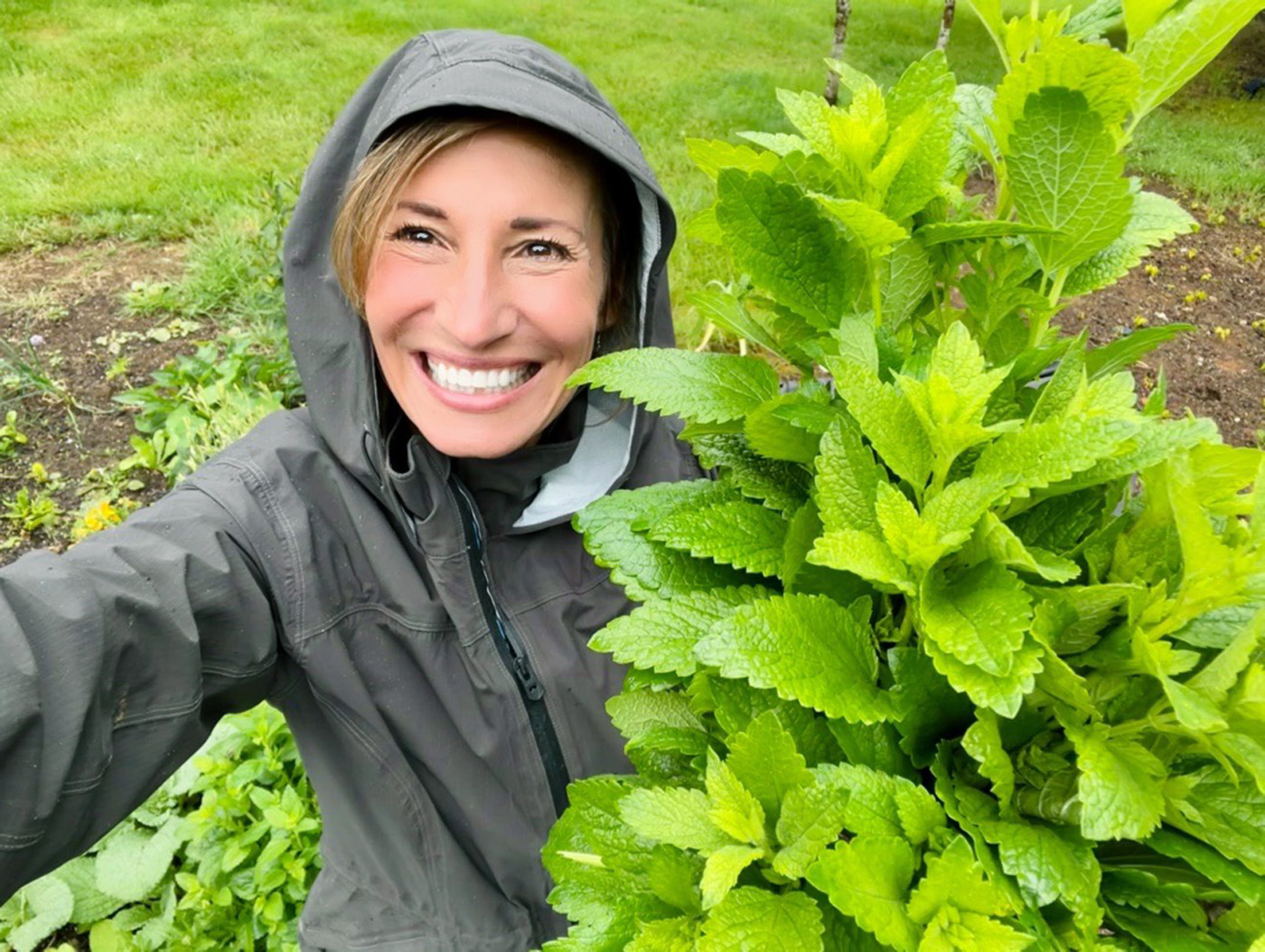 Nicole Apelian picking Lemon Balm in the rain Nicole Apelian picking Lemon Balm in the rain