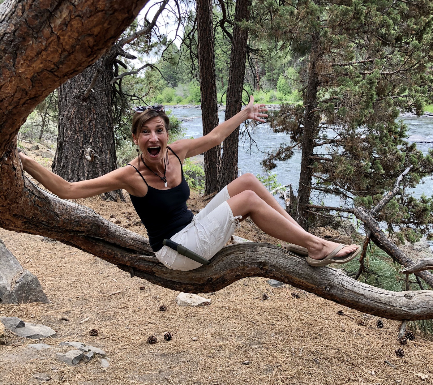 Nicole Apelian playing in tree Nicole Apelian playing in tree