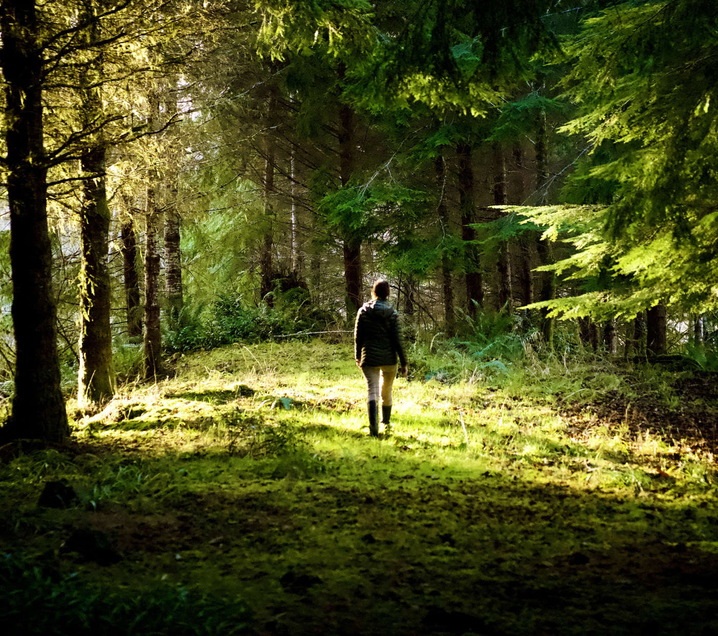 The Pandemic, Maintaining a Healthy Gut Terrain, and You