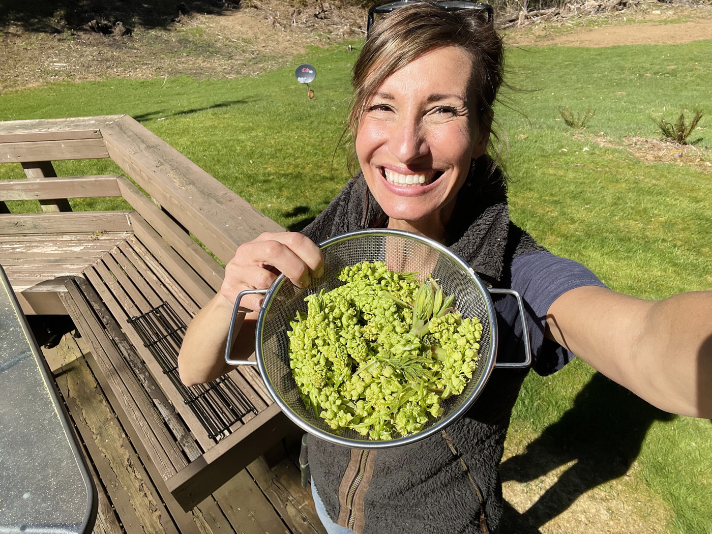 Herbal Focus: Maple (Bigleaf) Acer macrophyllum