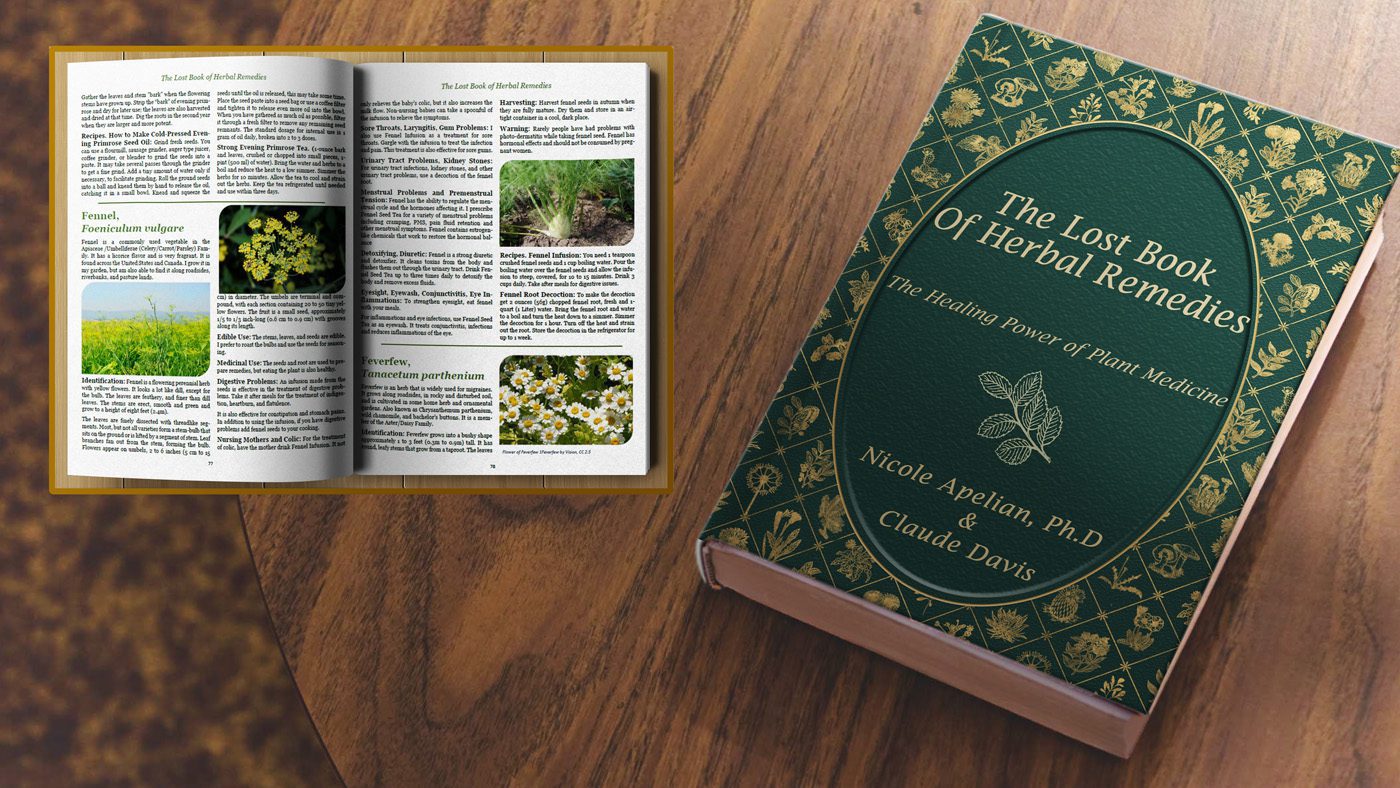 Nicoles Apothecary Bronchial Blend tincture Nicole Apelian's Lost Book of Herbal Remedies open on table