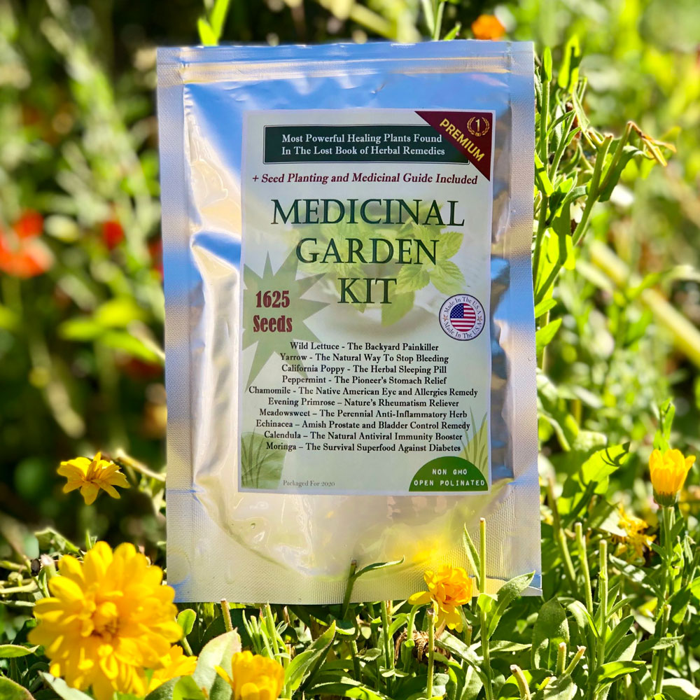 Nicole Apelian's medicinal garden kit