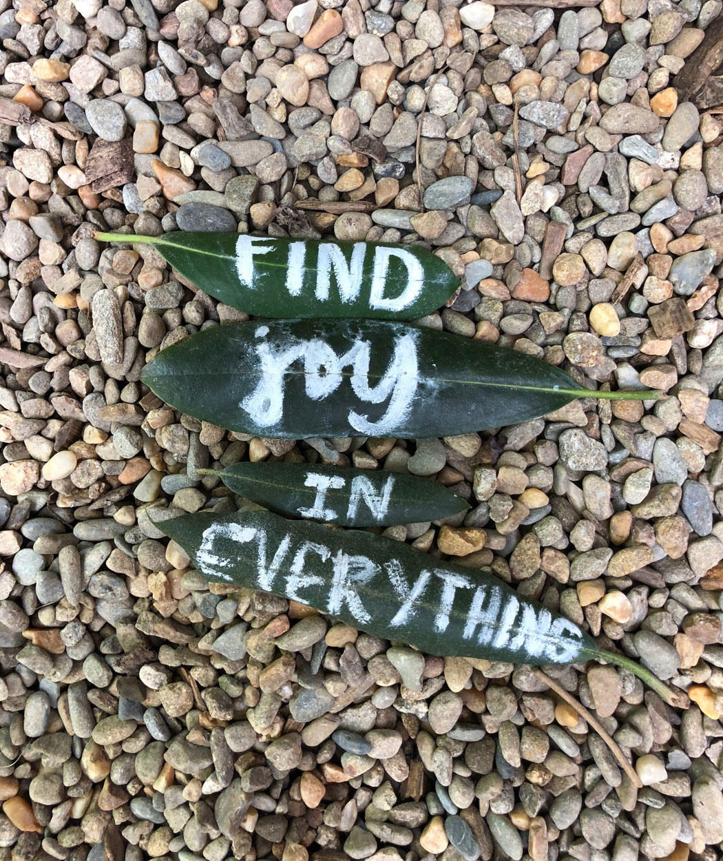 Find joy in everything painted leaves on gravel Find joy in everything painted leaves on gravel