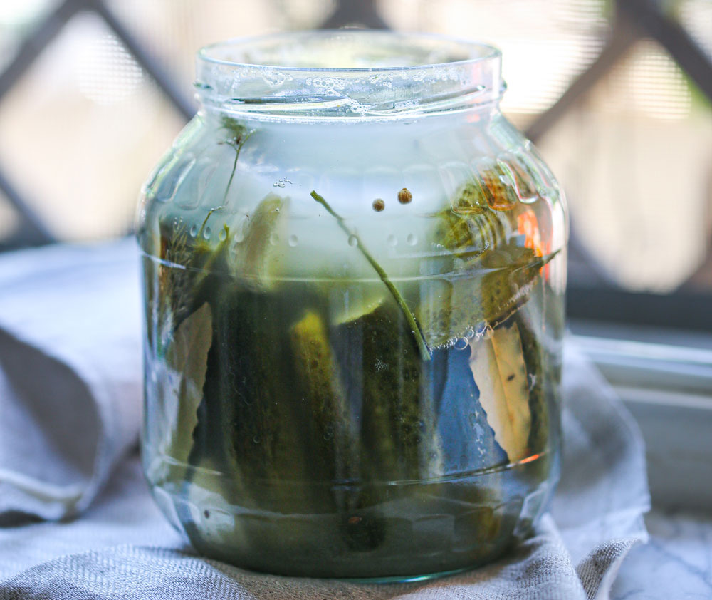 jar of fermented cucumbers jar of fermented cucumbers