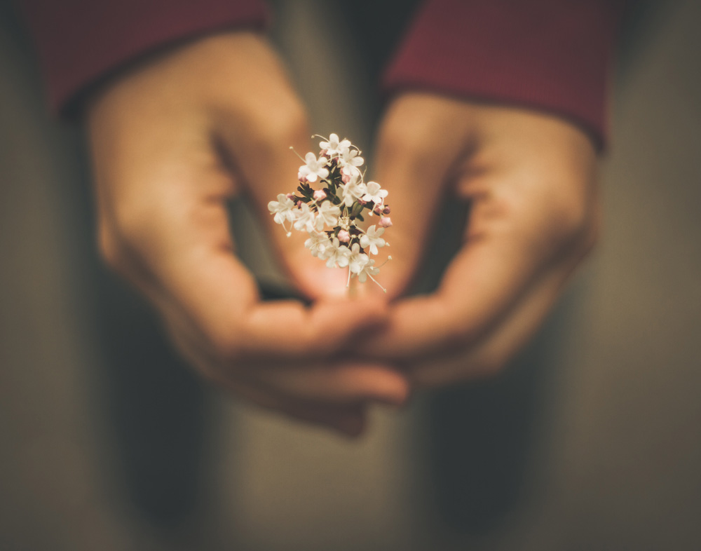 Menopause, HRT, and Possible Health Dangers