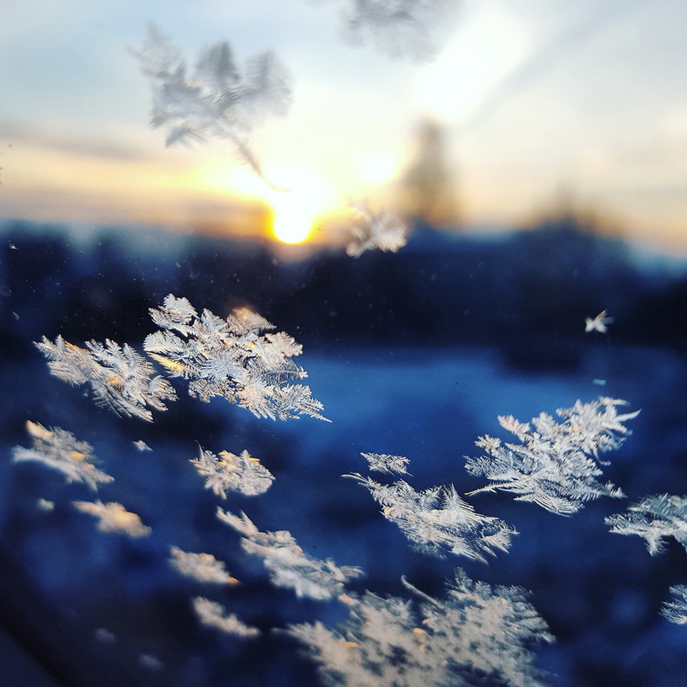 Depression, Poor Immunity, Excess Weight? Cold Therapy to the Rescue!