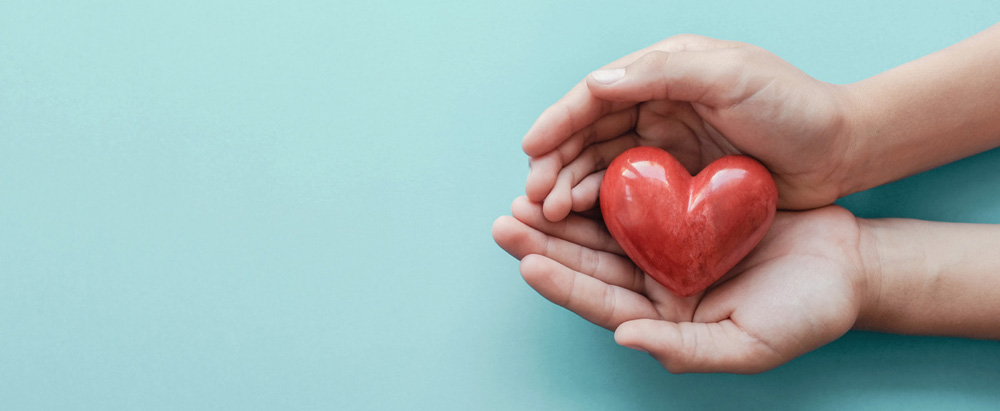 hands holding red heart hands holding red heart