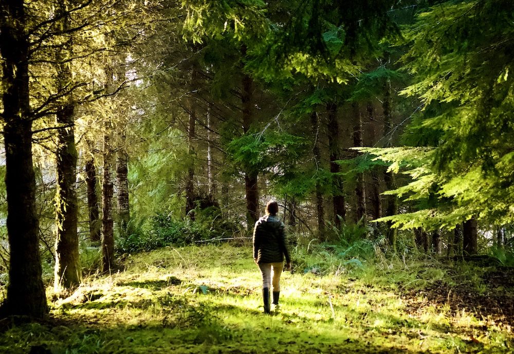 Navigating the Emotional Impact of Multiple Sclerosis