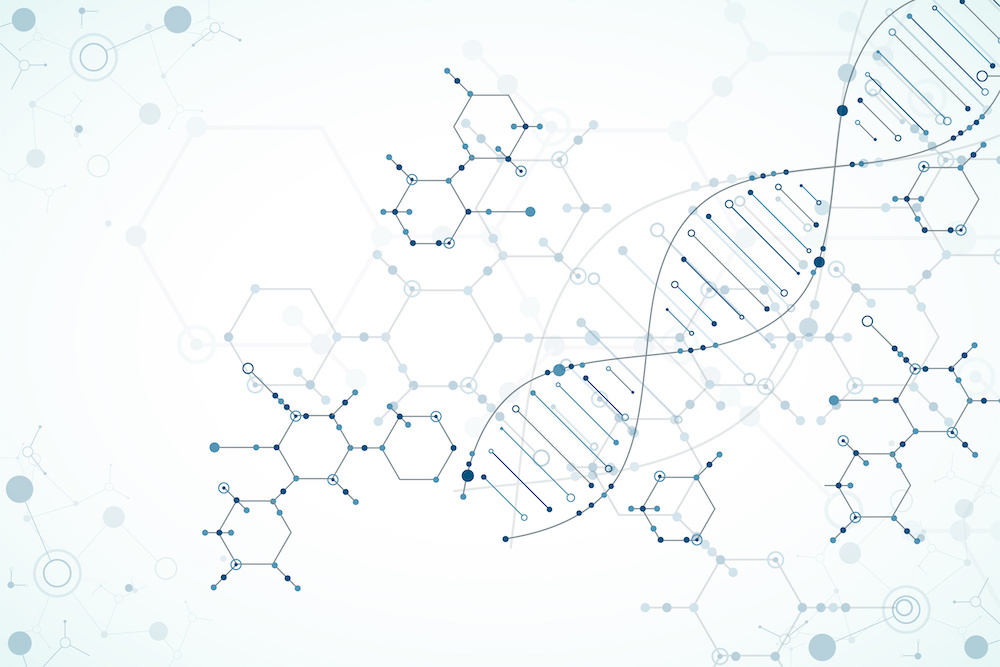 DNA molecules DNA molecules