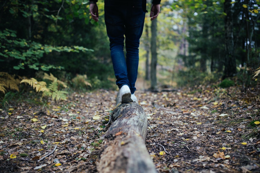person walking on log on trail in the woods person walking on log on trail in the woods