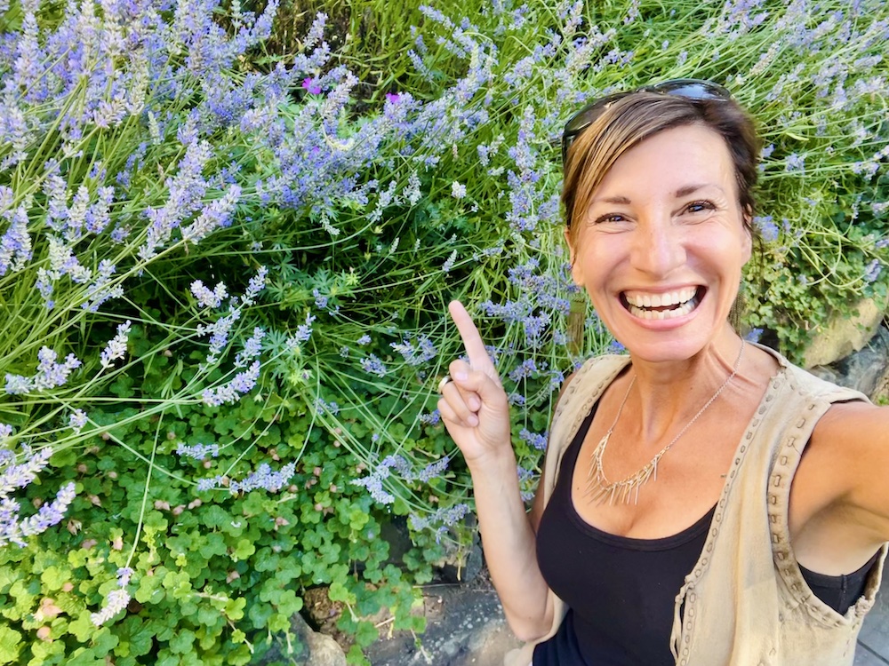 No-Till Gardening: Revolutionizing the Way We Grow Food & Herbal Medicine