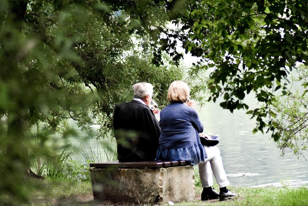 Researchers Discover Fungi in Gut Linked to Alzheimer’s Disease