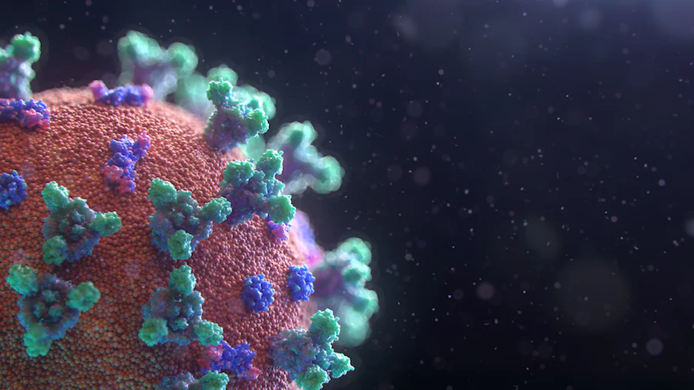 The Surprising Connection Between Mental Health & Viral Infections