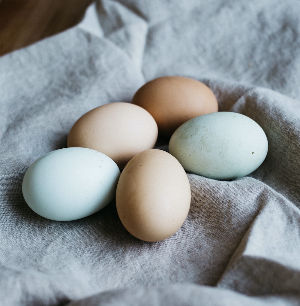 fresh eggs fresh eggs