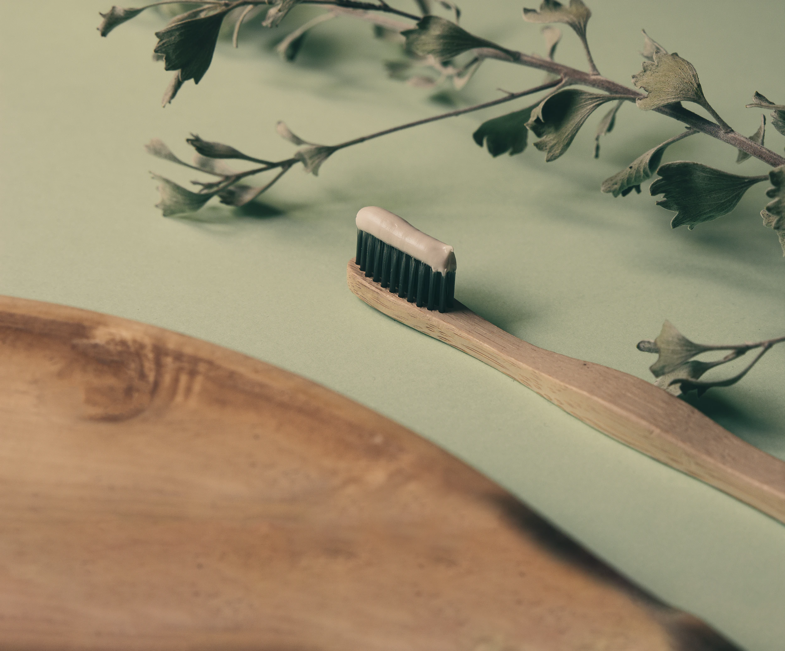 Wooden toothbrush-toothpaste-greens Wooden toothbrush-toothpaste-greens