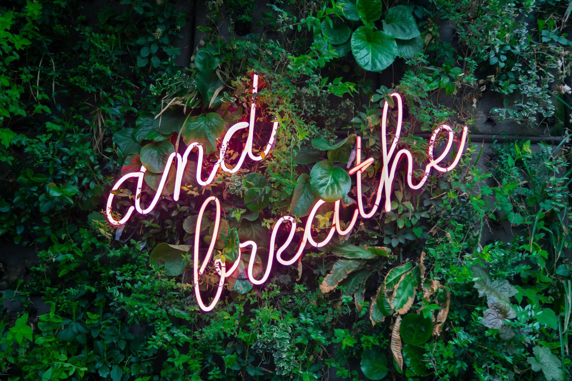 neon text "and breathe" on greenery neon text "and breathe" on greenery