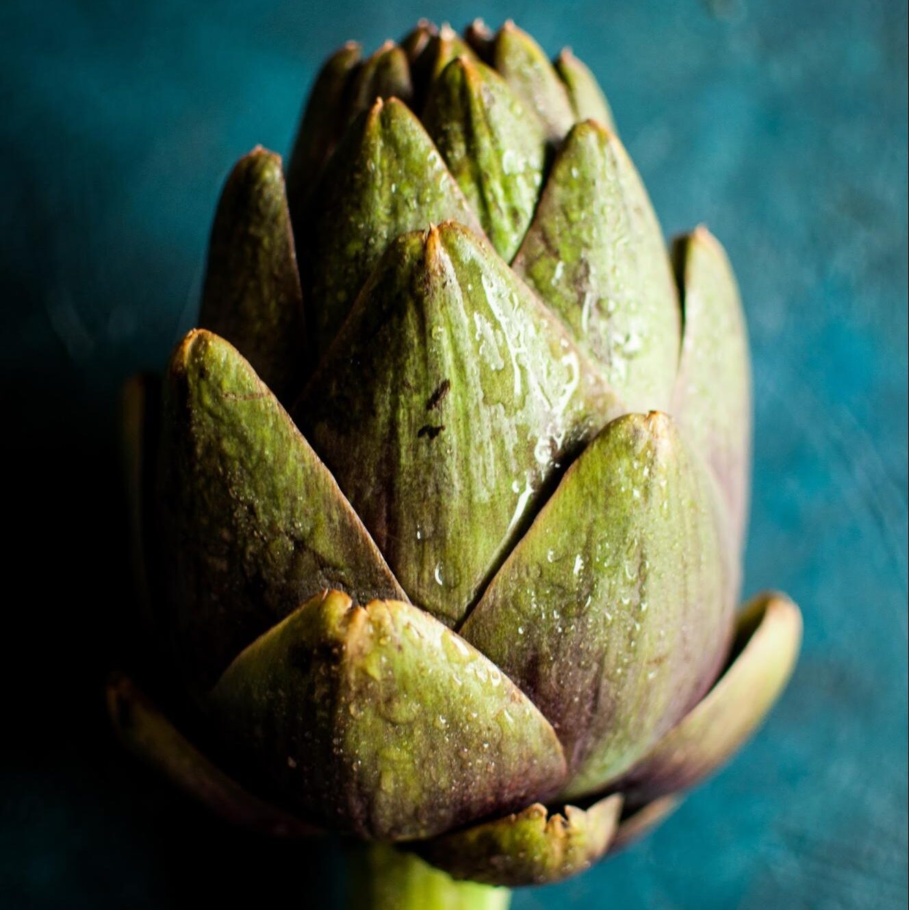 artichoke artichoke