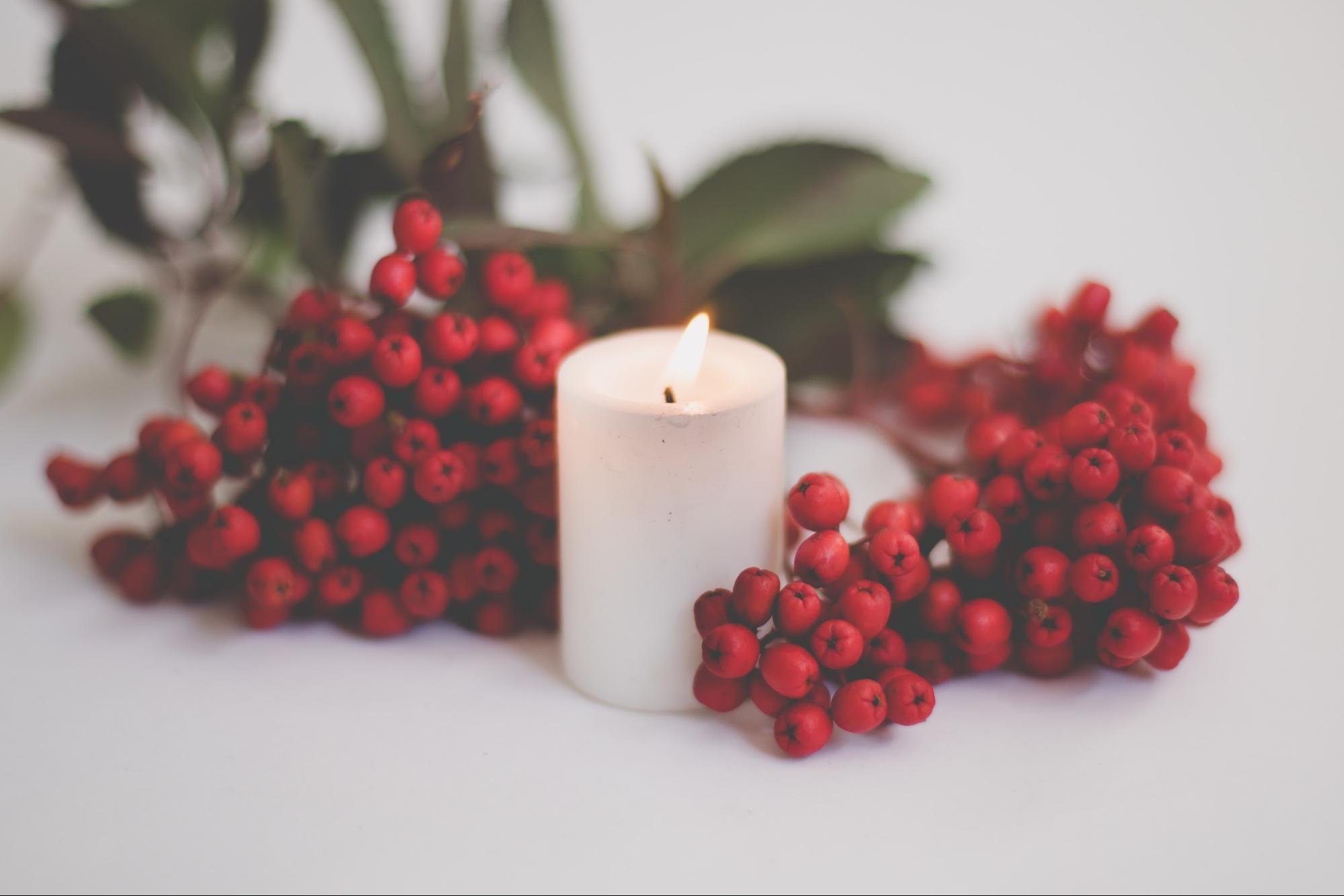 holly berries and candle holly berries and candle