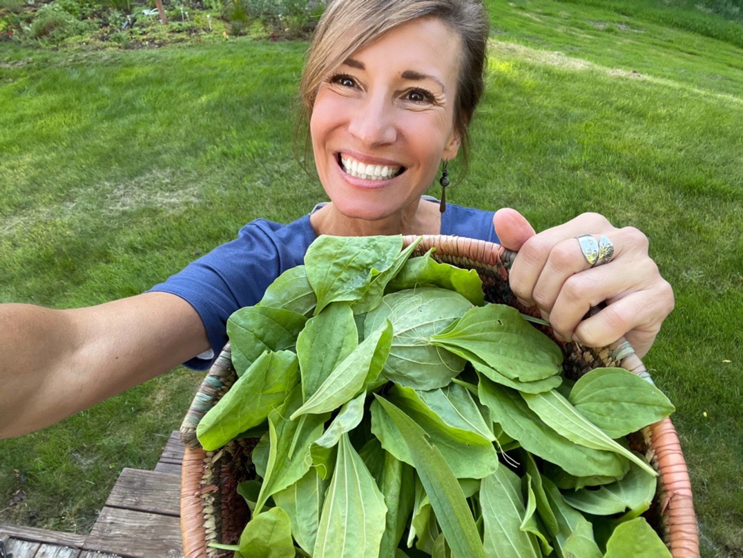 Unlock Nature’s Pharmacy: Combat Inflammation, Cancer, & More with This Tasty Backyard Superweed — Recipe Included!